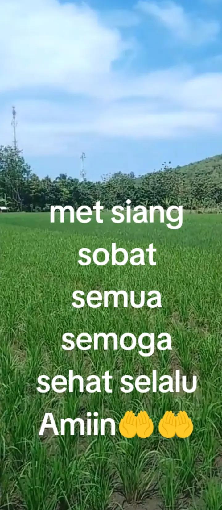 @Doni R