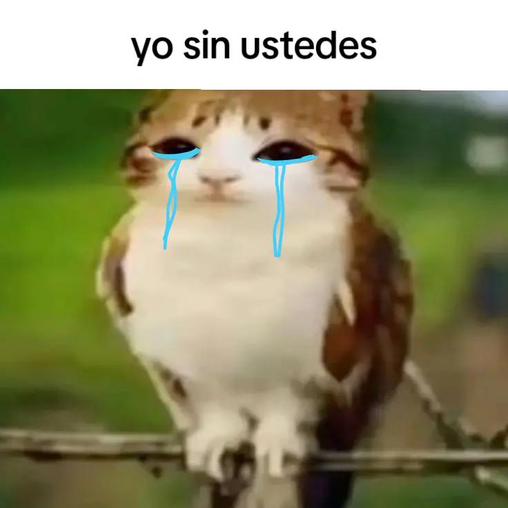 @meowl