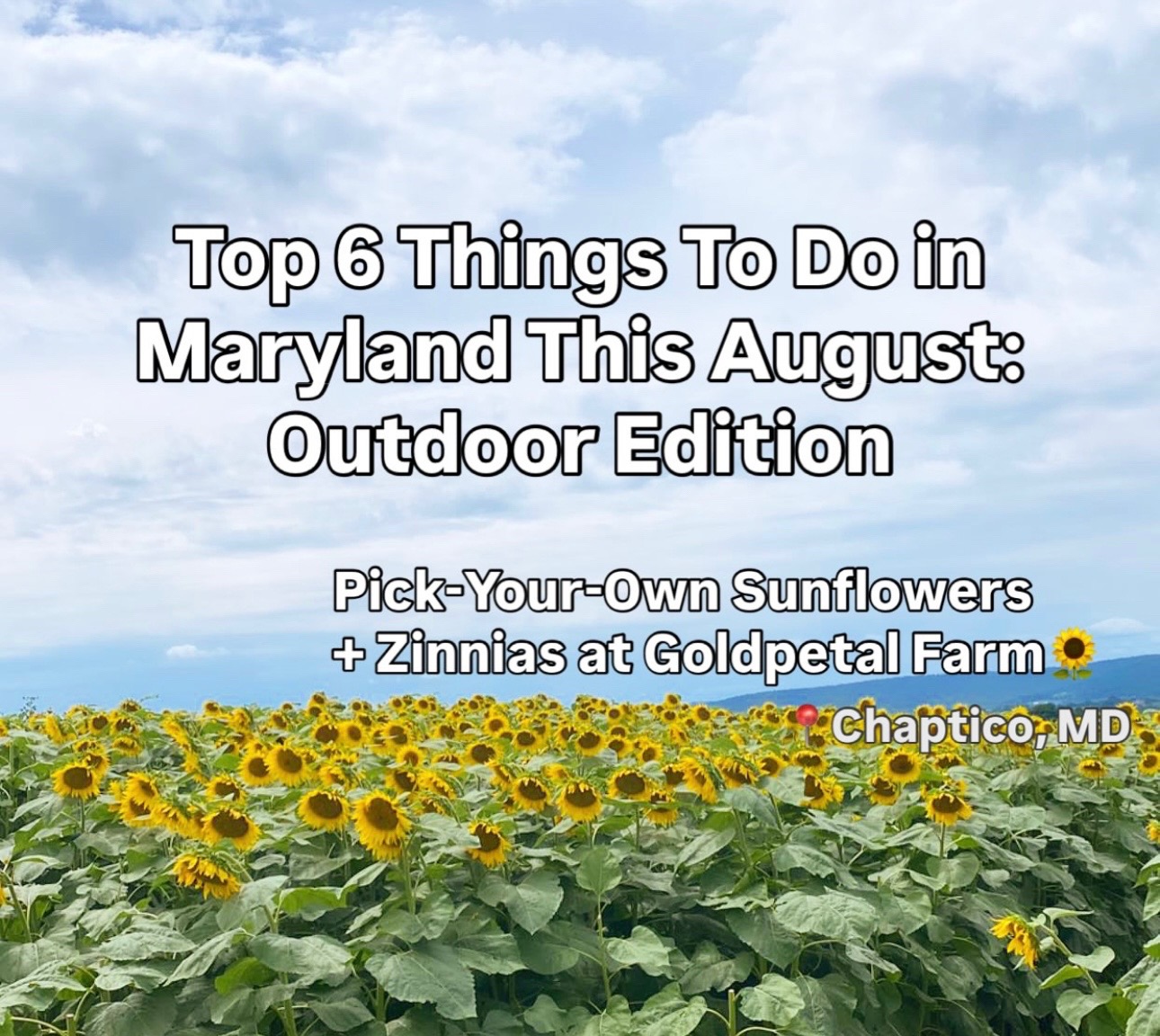 @Things to Do in Baltimore, MD!