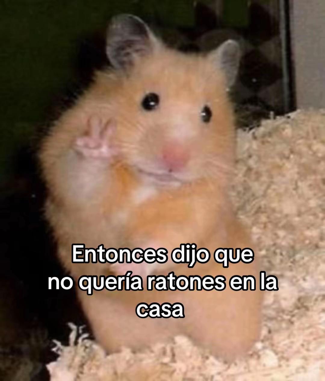 @Bonobon