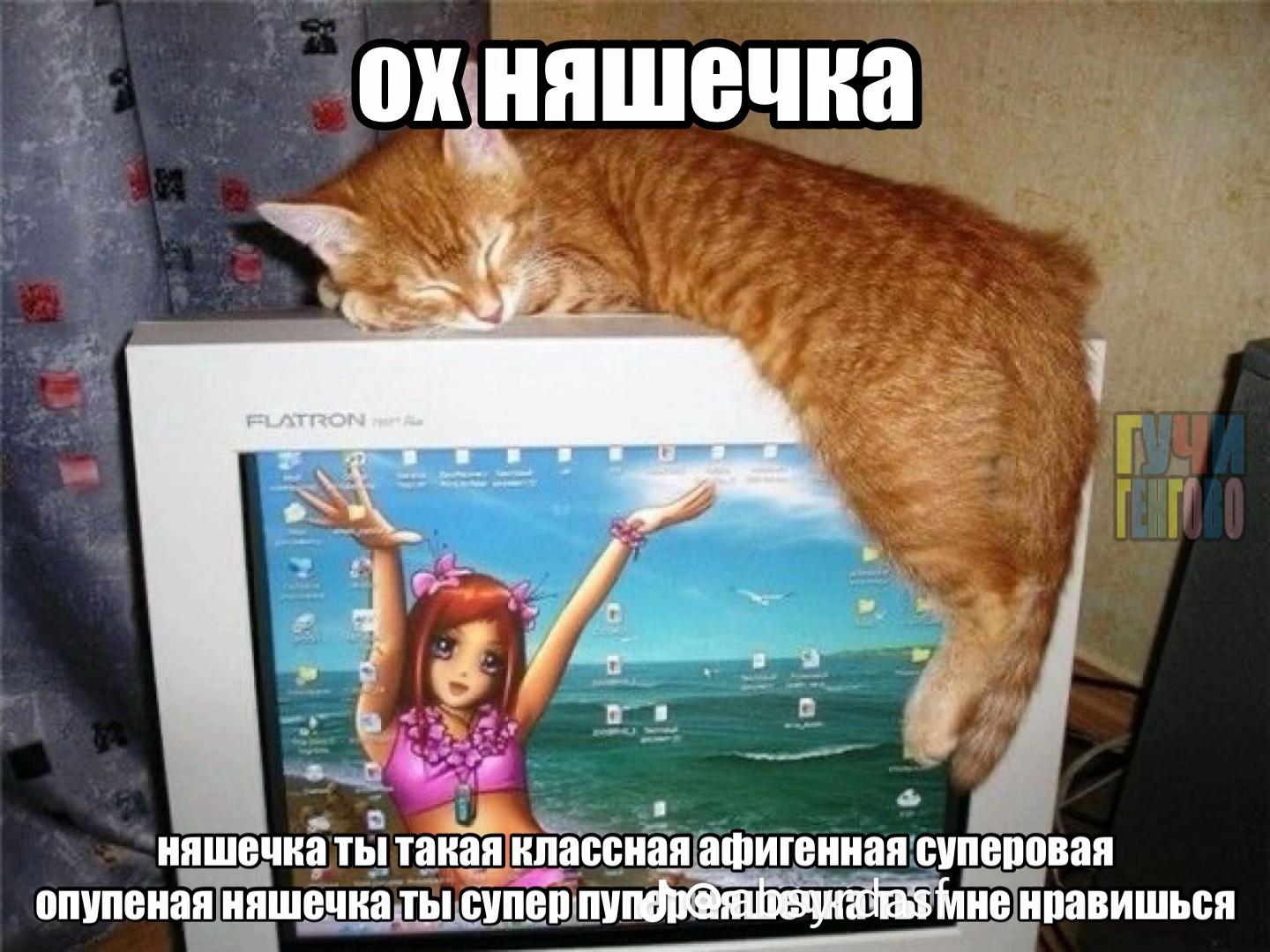 @ssqwty_