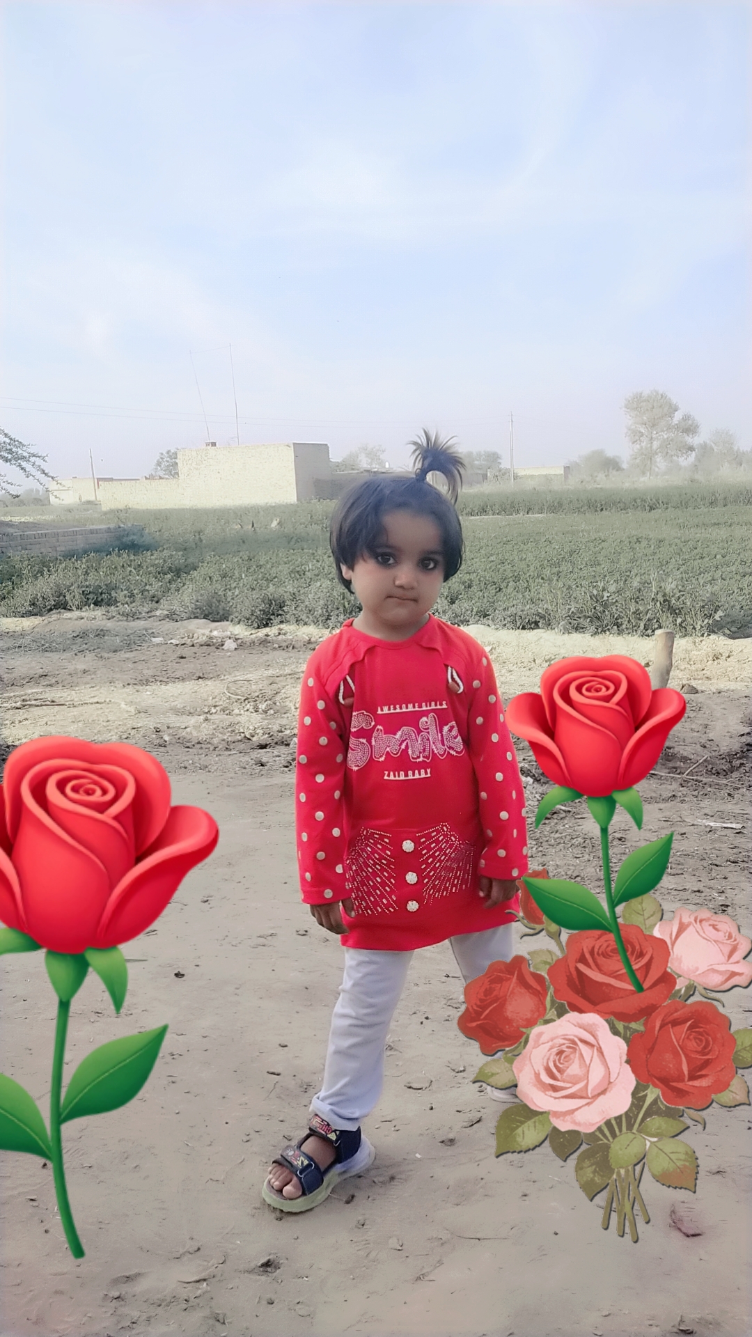@ملک ربنواز سرگودھے الا