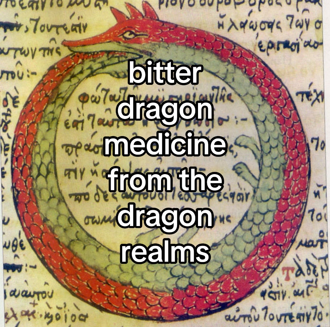 @The Draconic Priestess 🐉