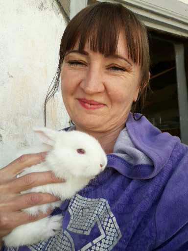 @али