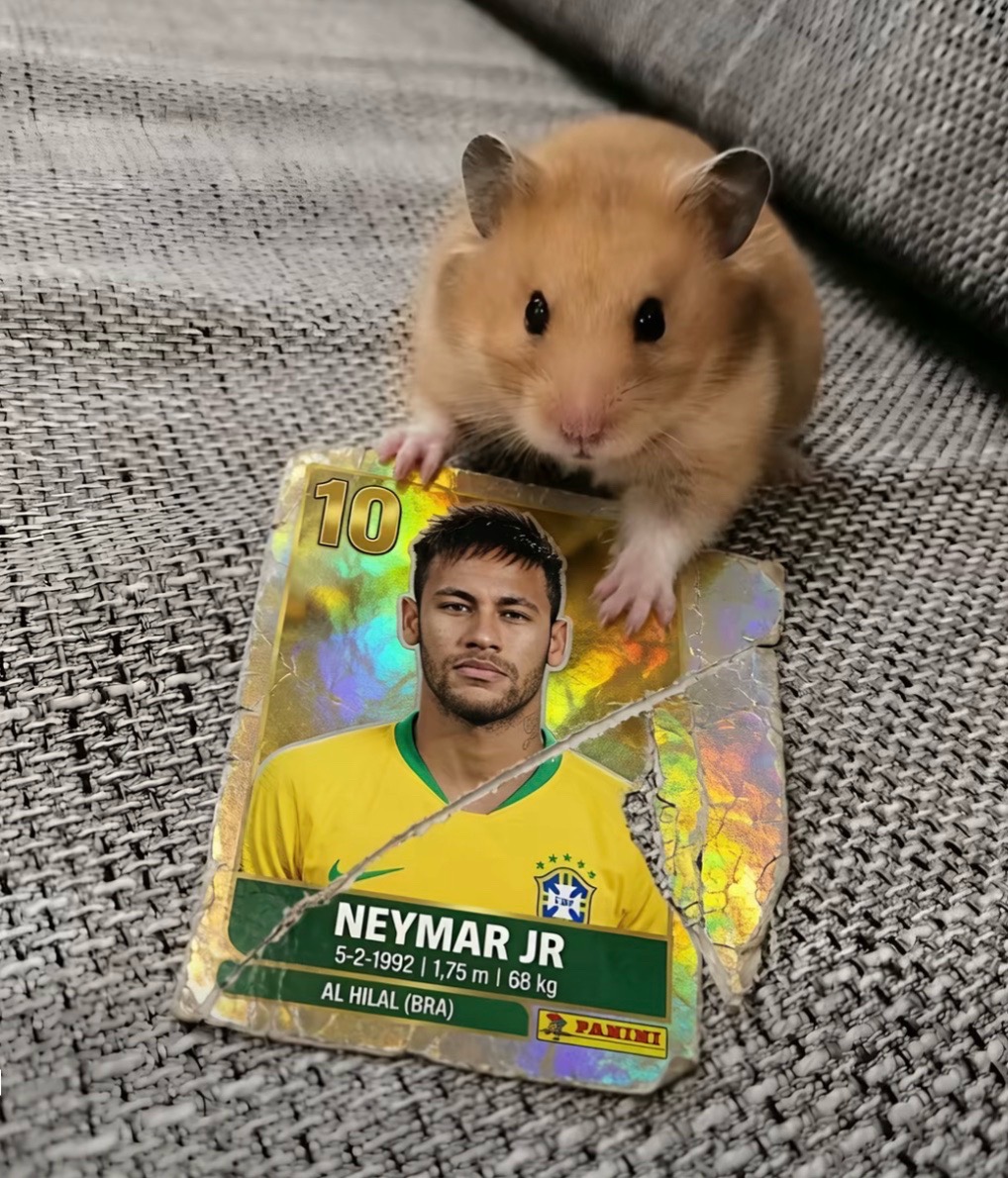 @ネイマール引退悲しい人⚽️