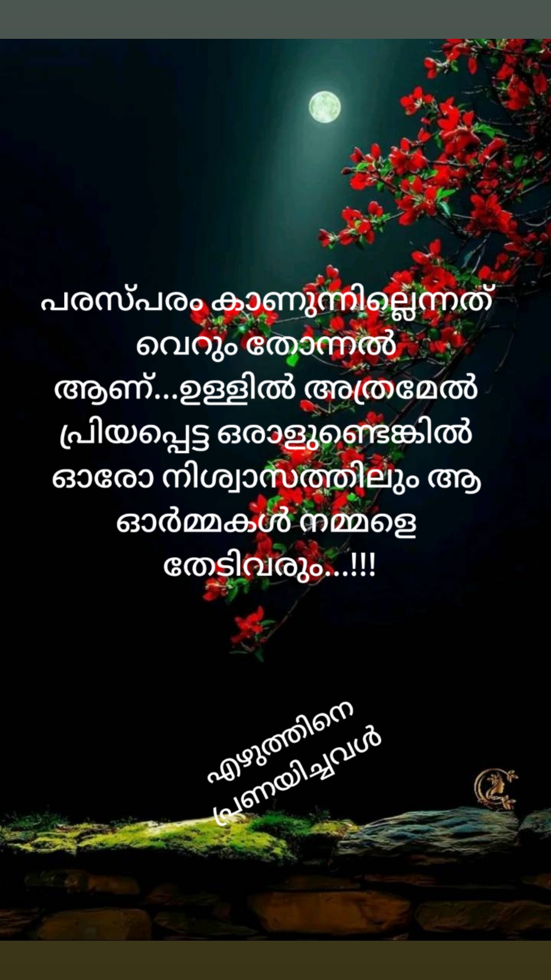 @എഴുത്തിനെ പ്രണയിച്ചവൾ
