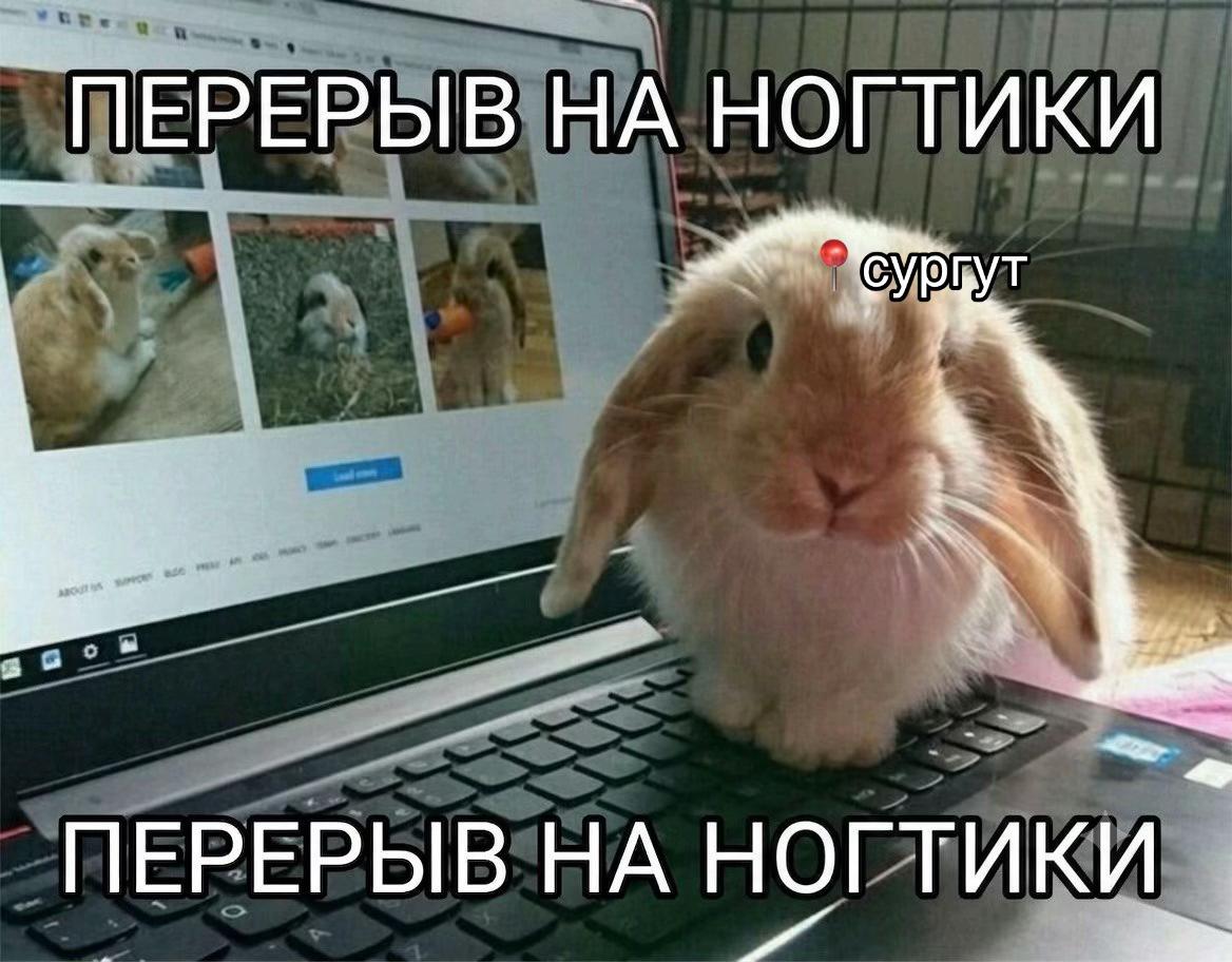 @ногти сургут | nenya.nails