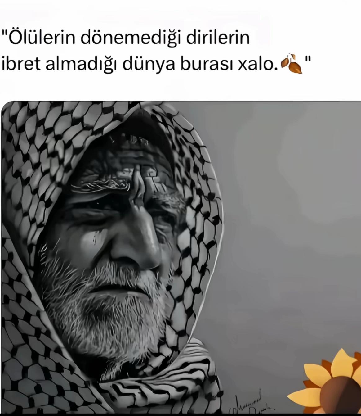 @Mehmet.dogan.6