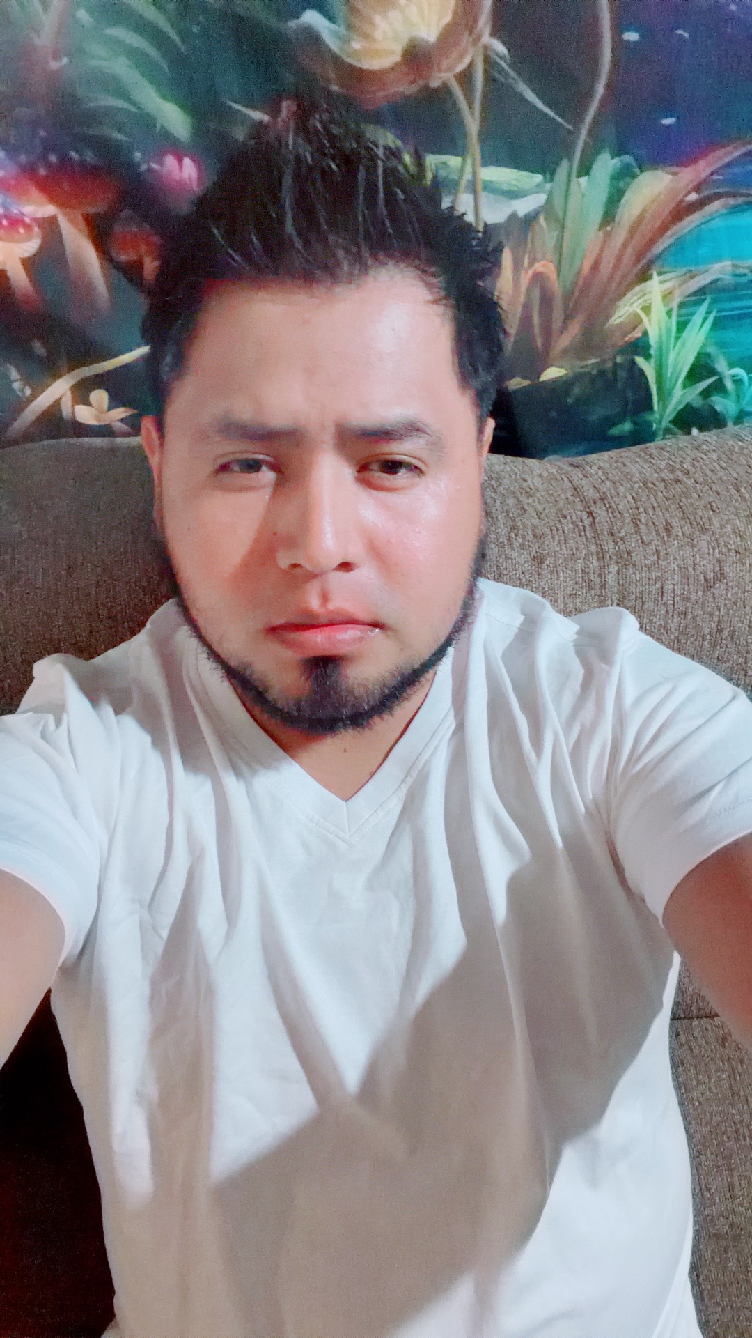 @El Rey &ldquo;pitbull.&rdquo;?