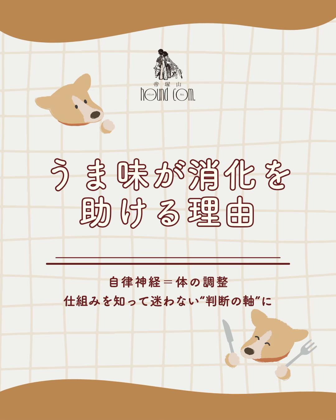 @帝塚山ハウンドカム