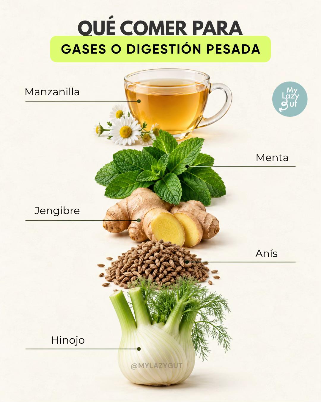 @Mylazygut/Digestión Saludable