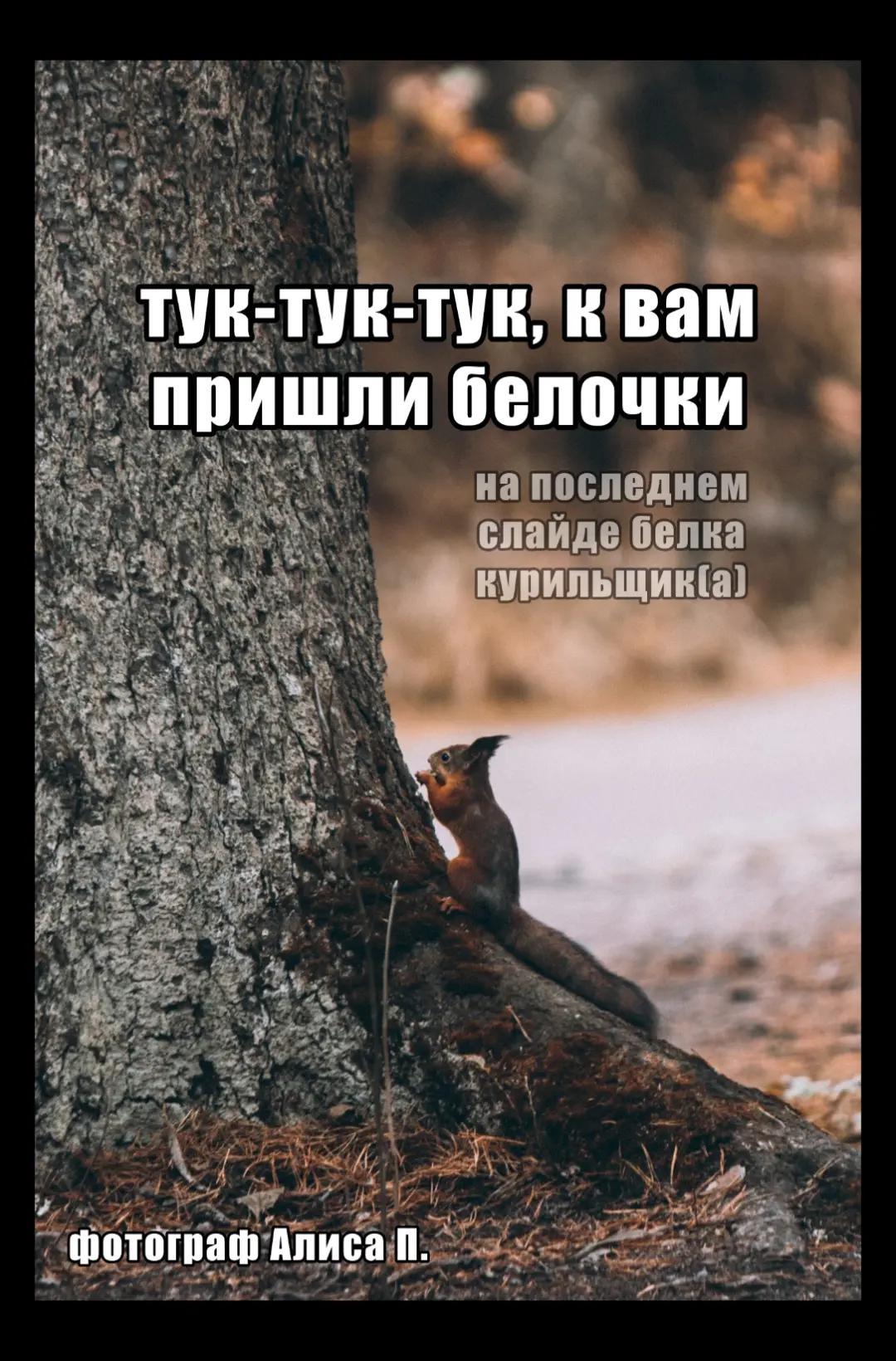 @Алиса П.