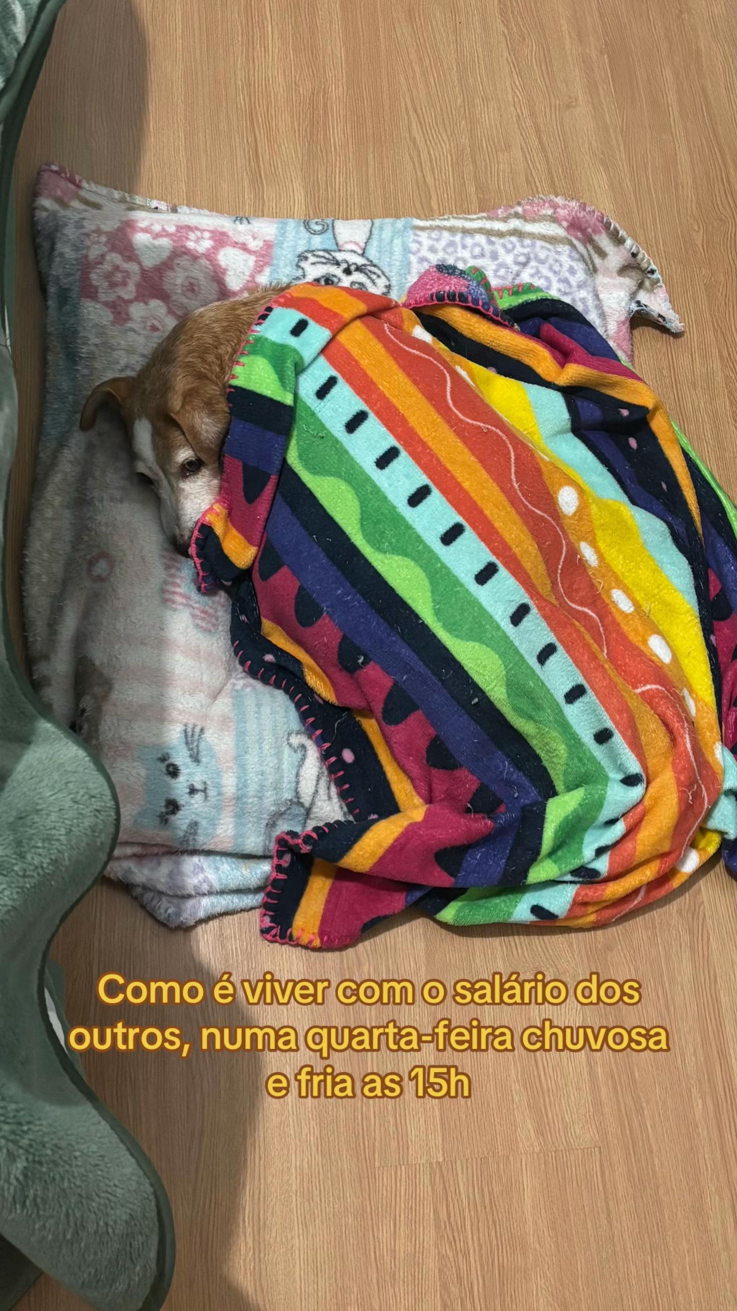 @Gabriela dos Passos