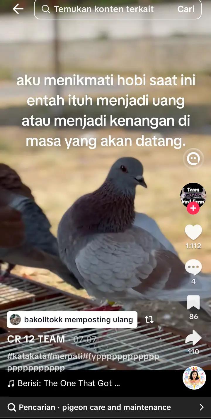@❷❻💤