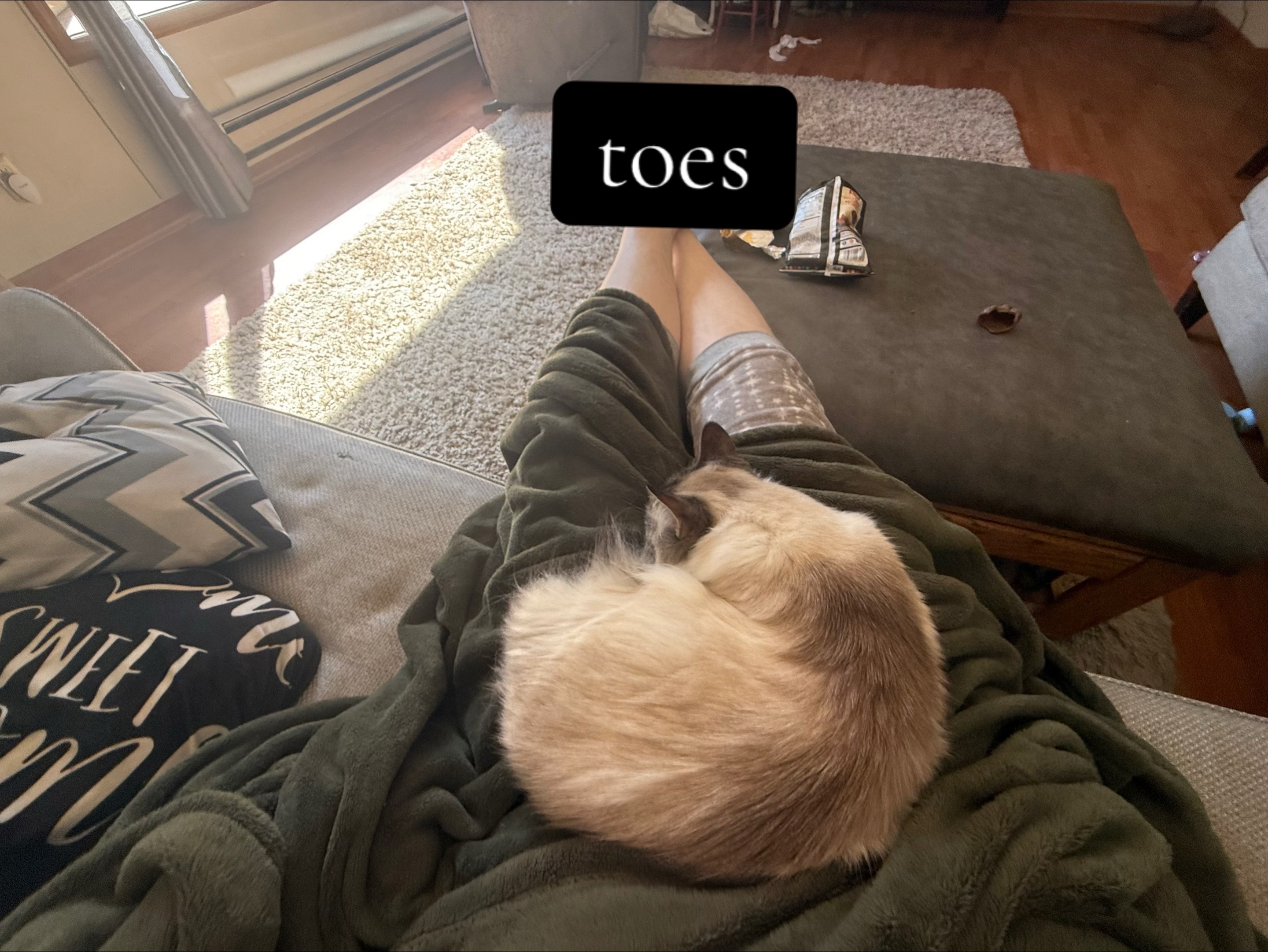 @𝘌𝘵𝘩𝘦𝘳𝘦𝘢𝘭 !! 🪽