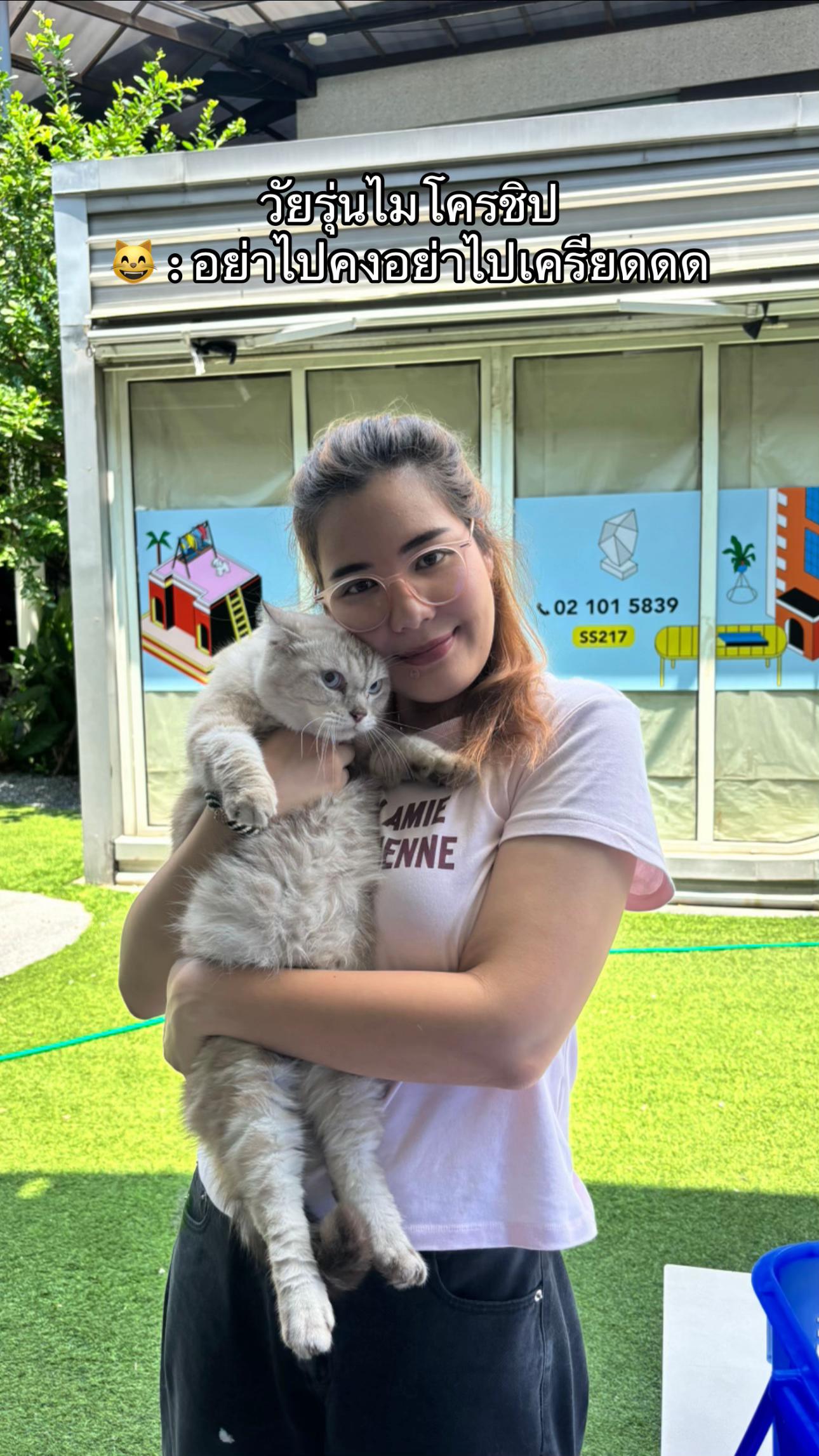 @Meowtiverse