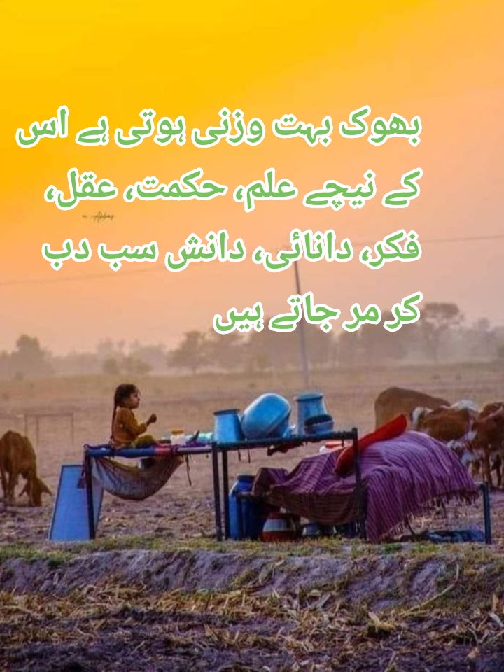 @ejaz qasim