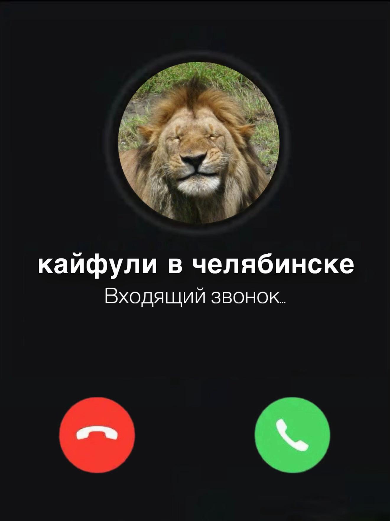 @irkoisa
