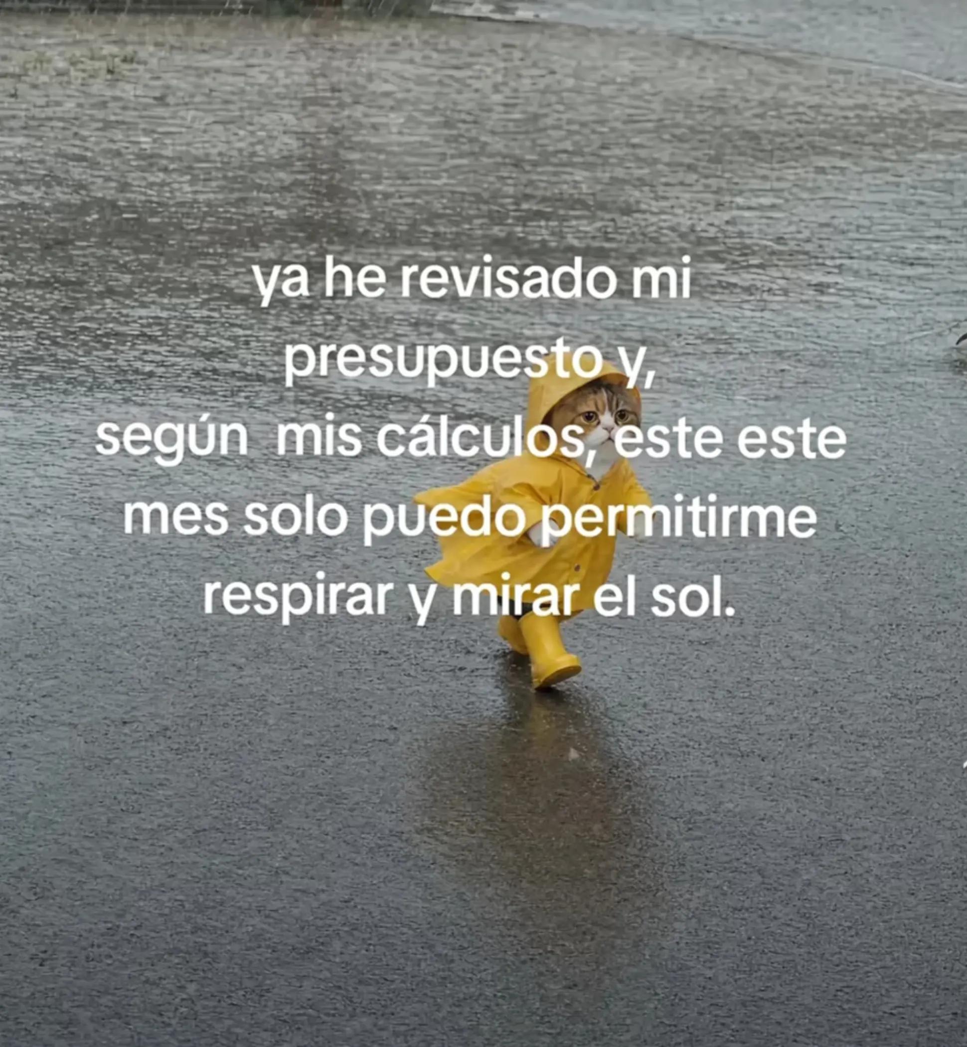 @EDITH