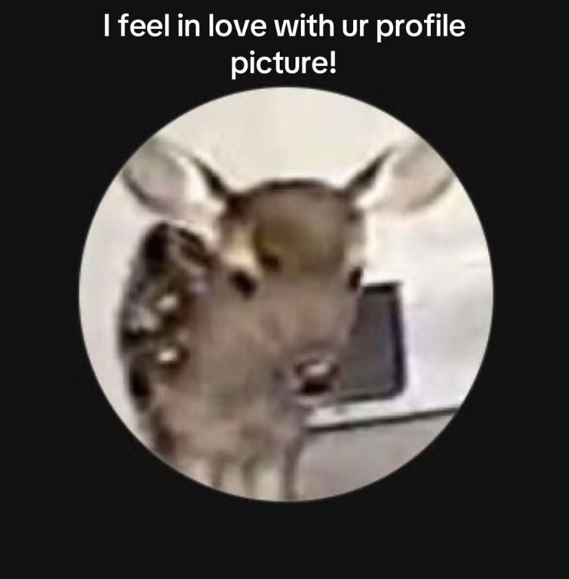 @cupris
