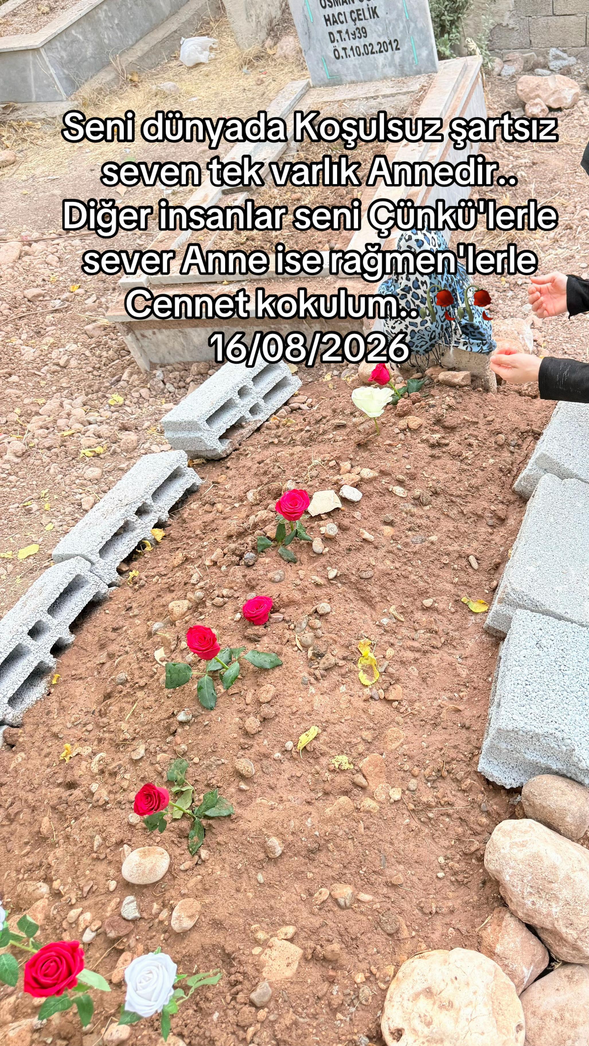 @ALİCAN