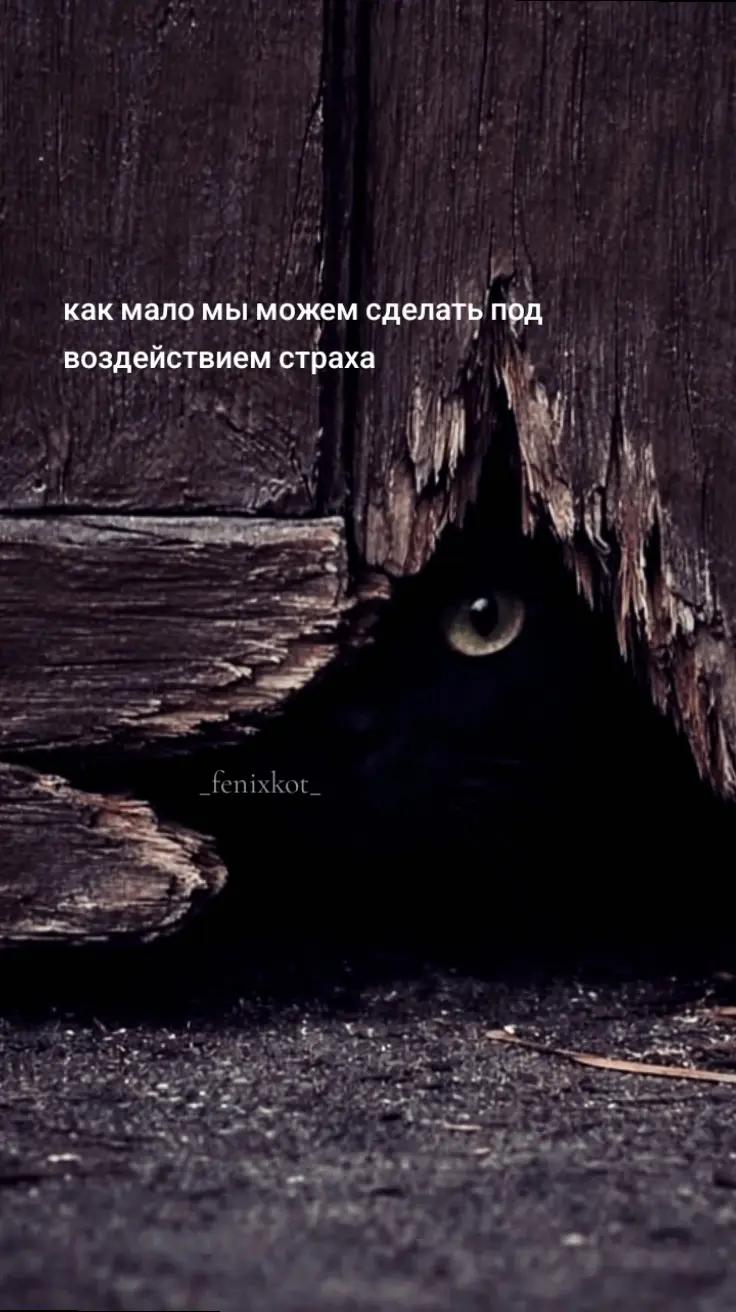 @La❤️koShka