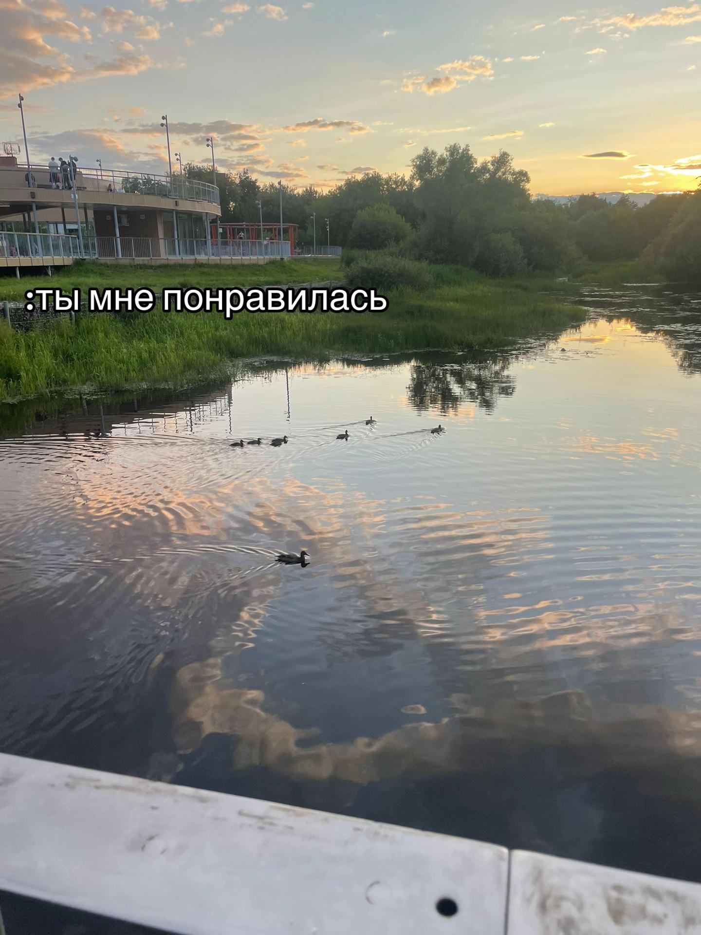 @Макеева🐾