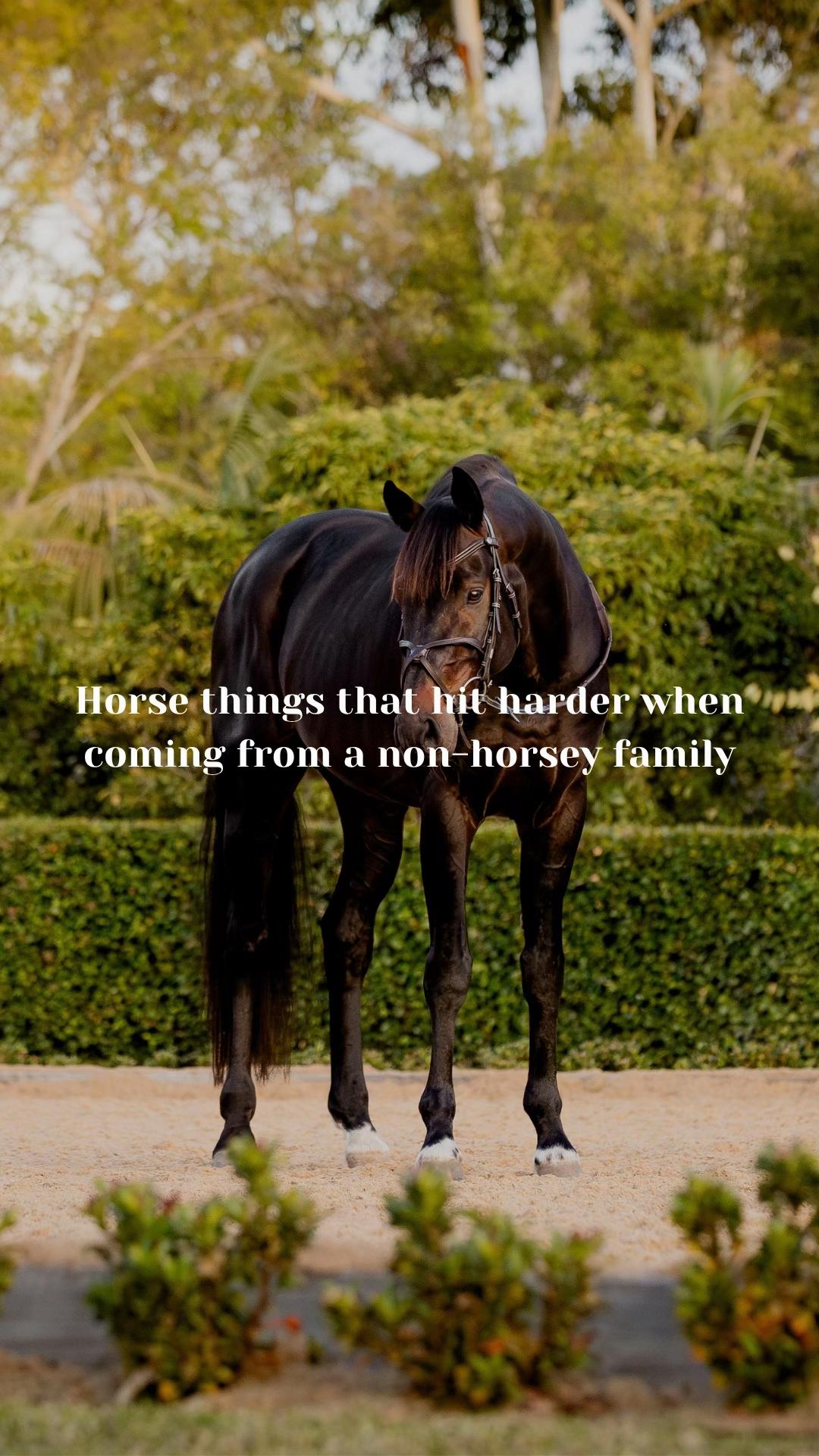 @LumiereEquestrian