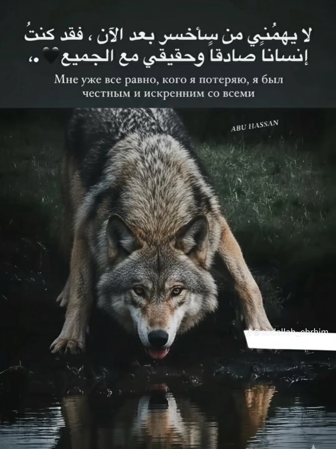 @علي الصياد 🦂