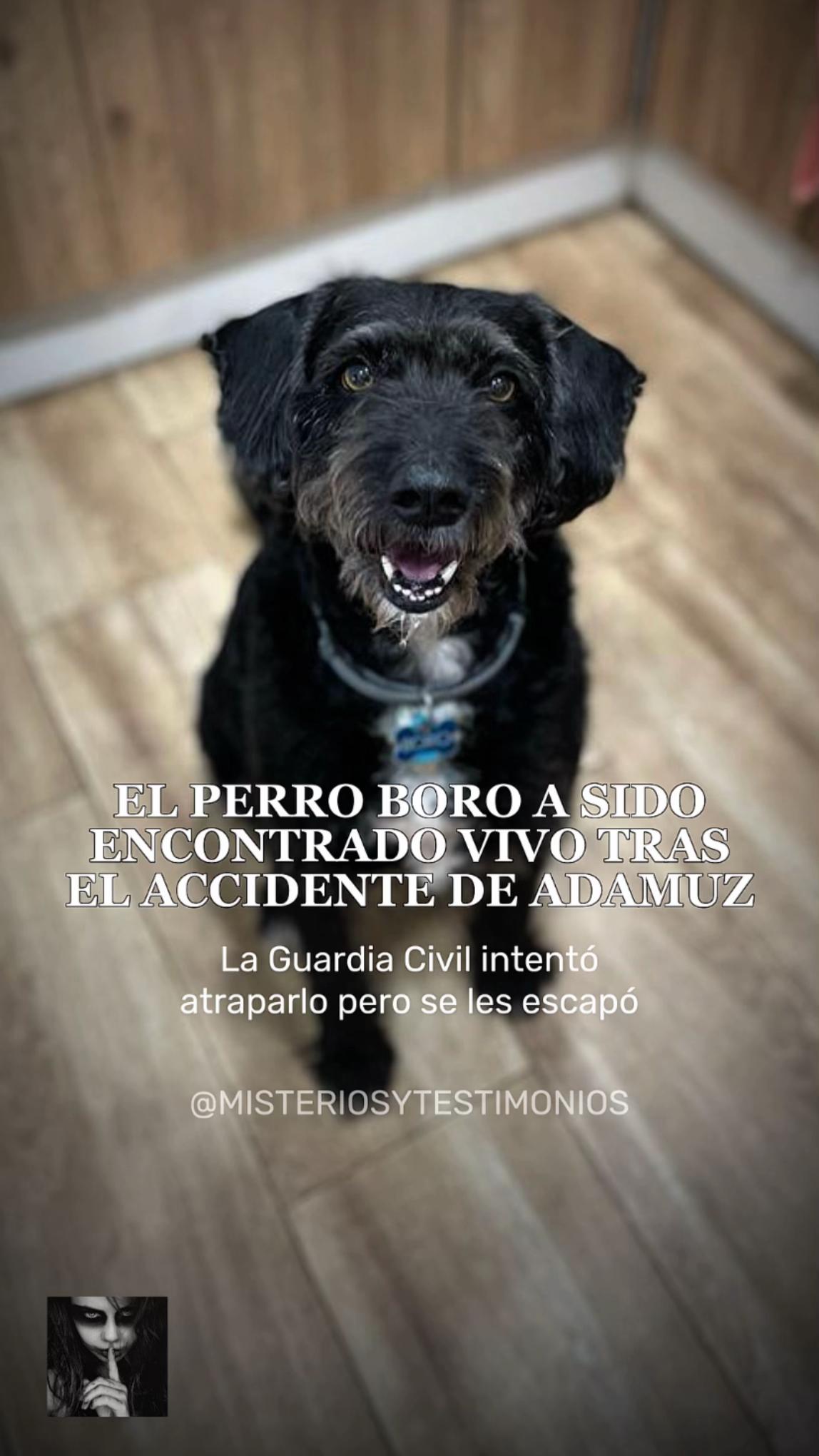 @Misterios y Testimonios