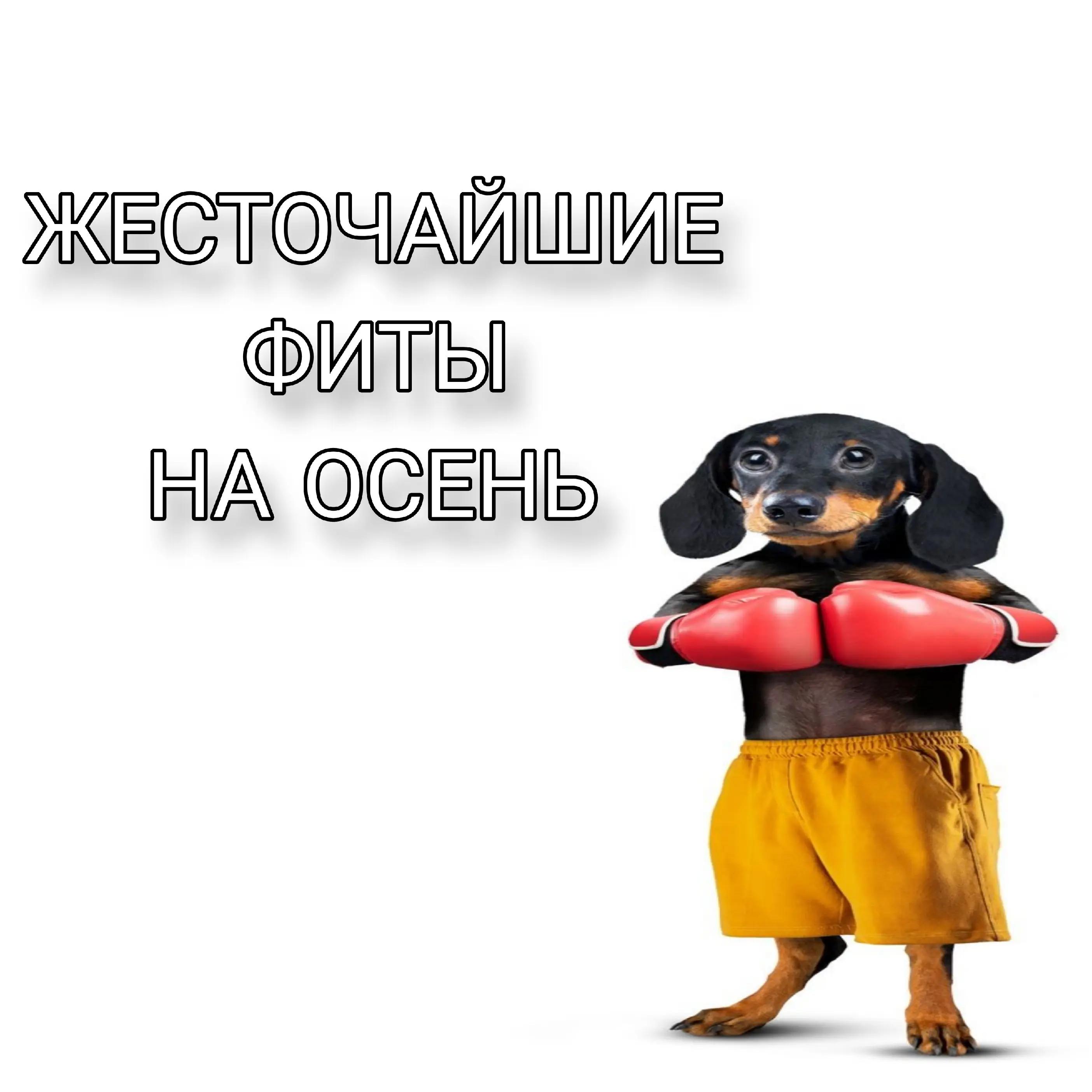 @tg:blag0o0