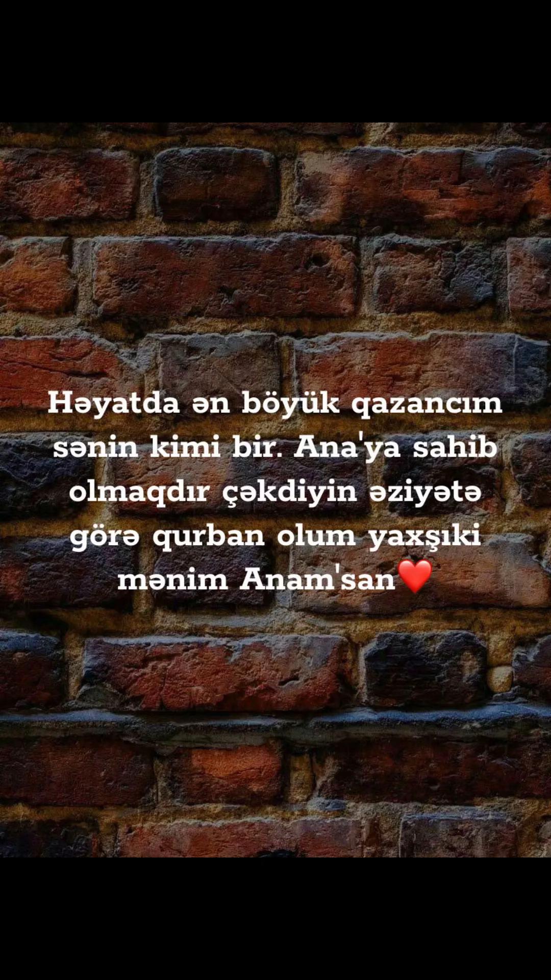 @musiqi_qidasi