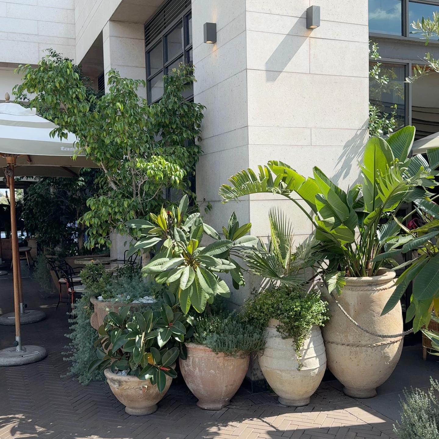 @Tora M