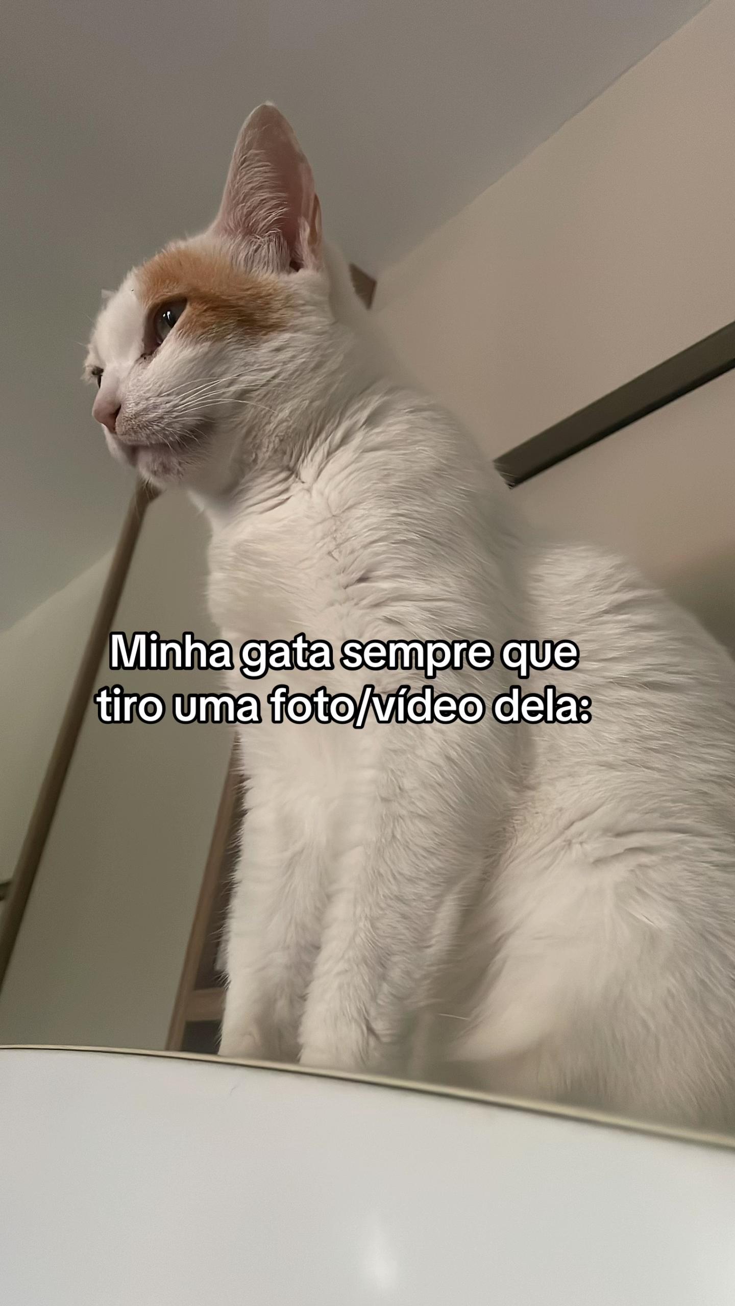 @Luana Moura