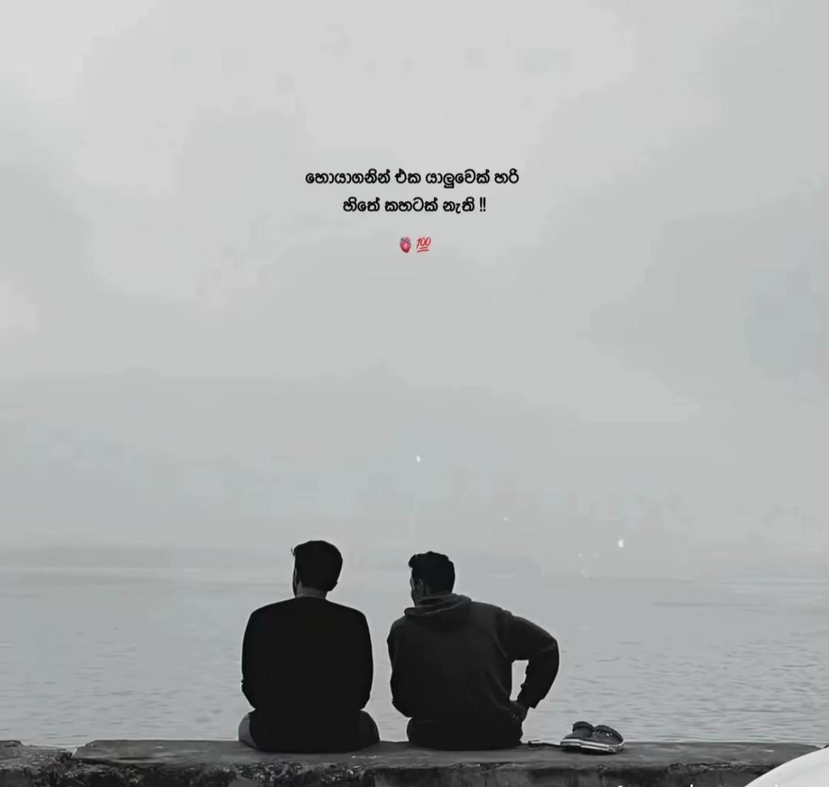 @👅පැලේ 💗🫀3/24 🫶❤️