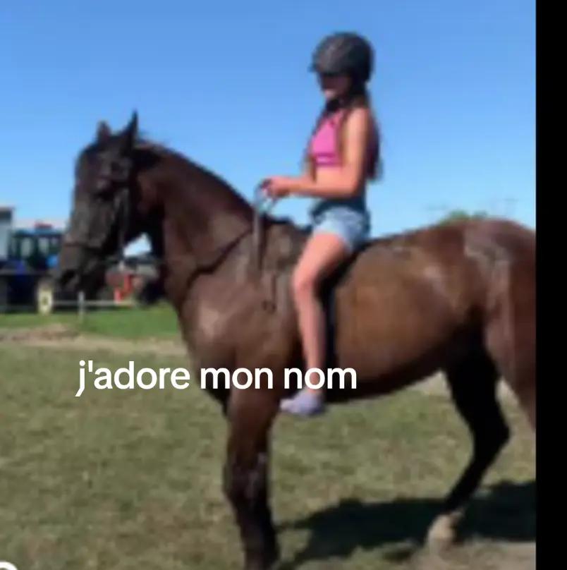 @flica et Nelly
