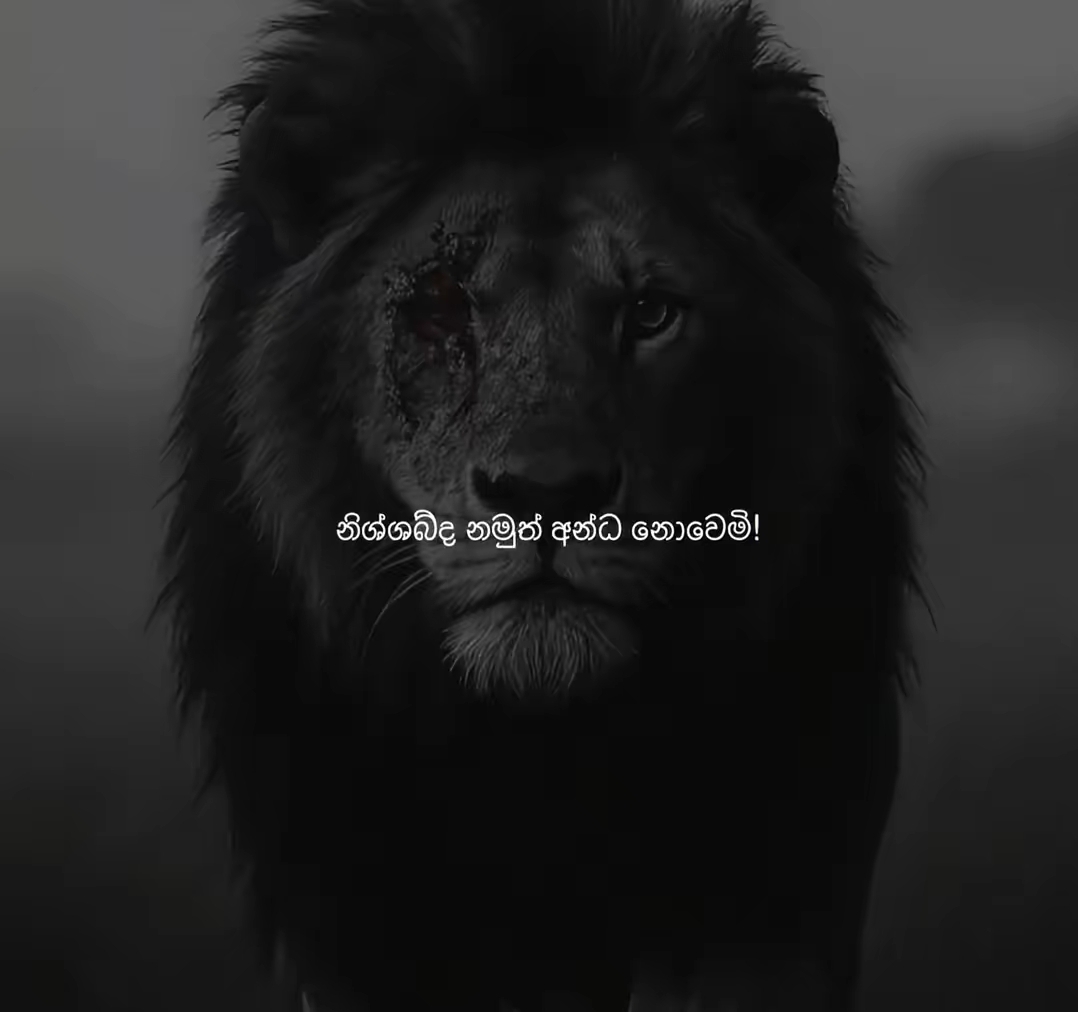 @𝘿 𝙄 𝙇 𝘼 49 🇰🇷❤️ 🇱🇰