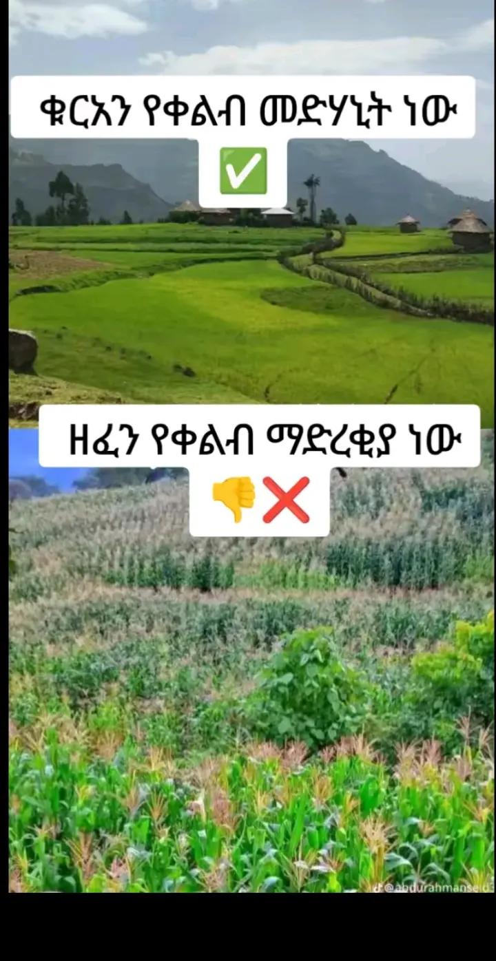 @ሰአድቾ🦋🇦🇪