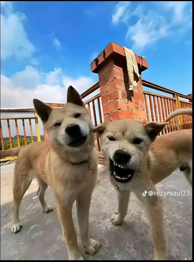 @naylaaaaa