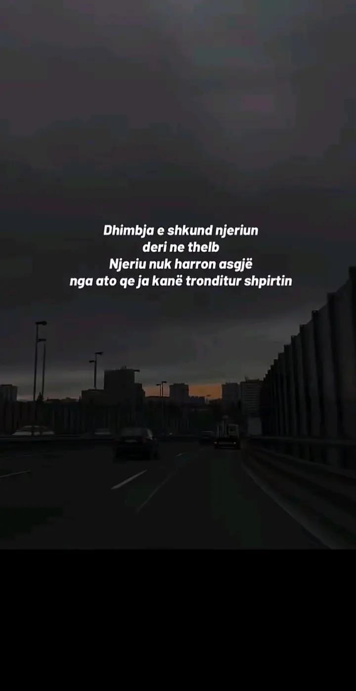 @🐍Vetevetja 100%🐍