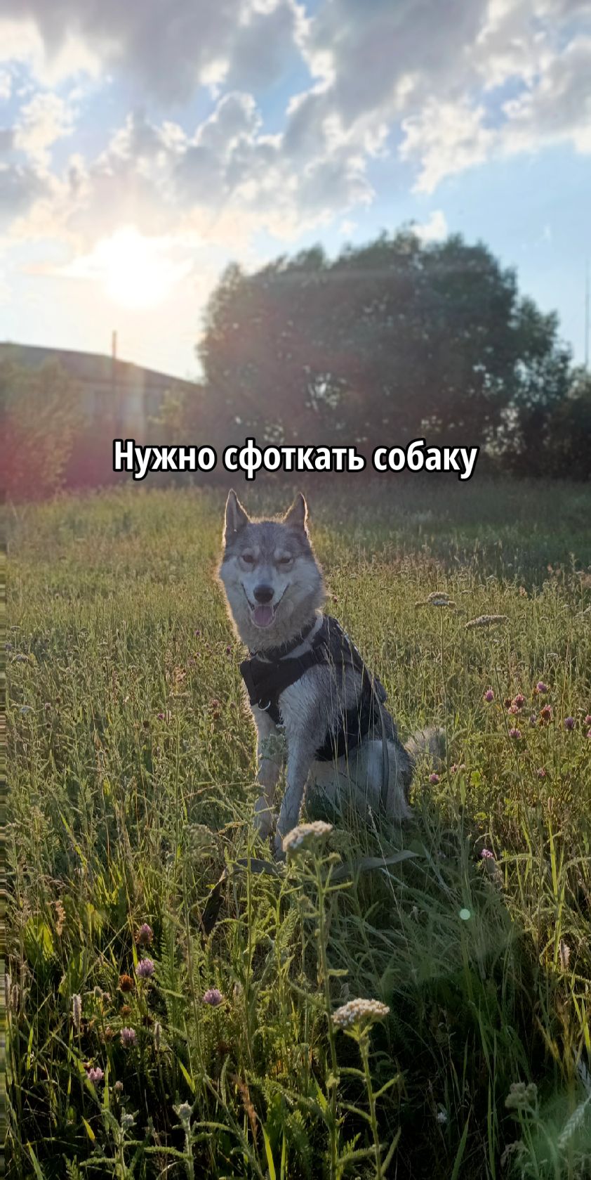 @kris