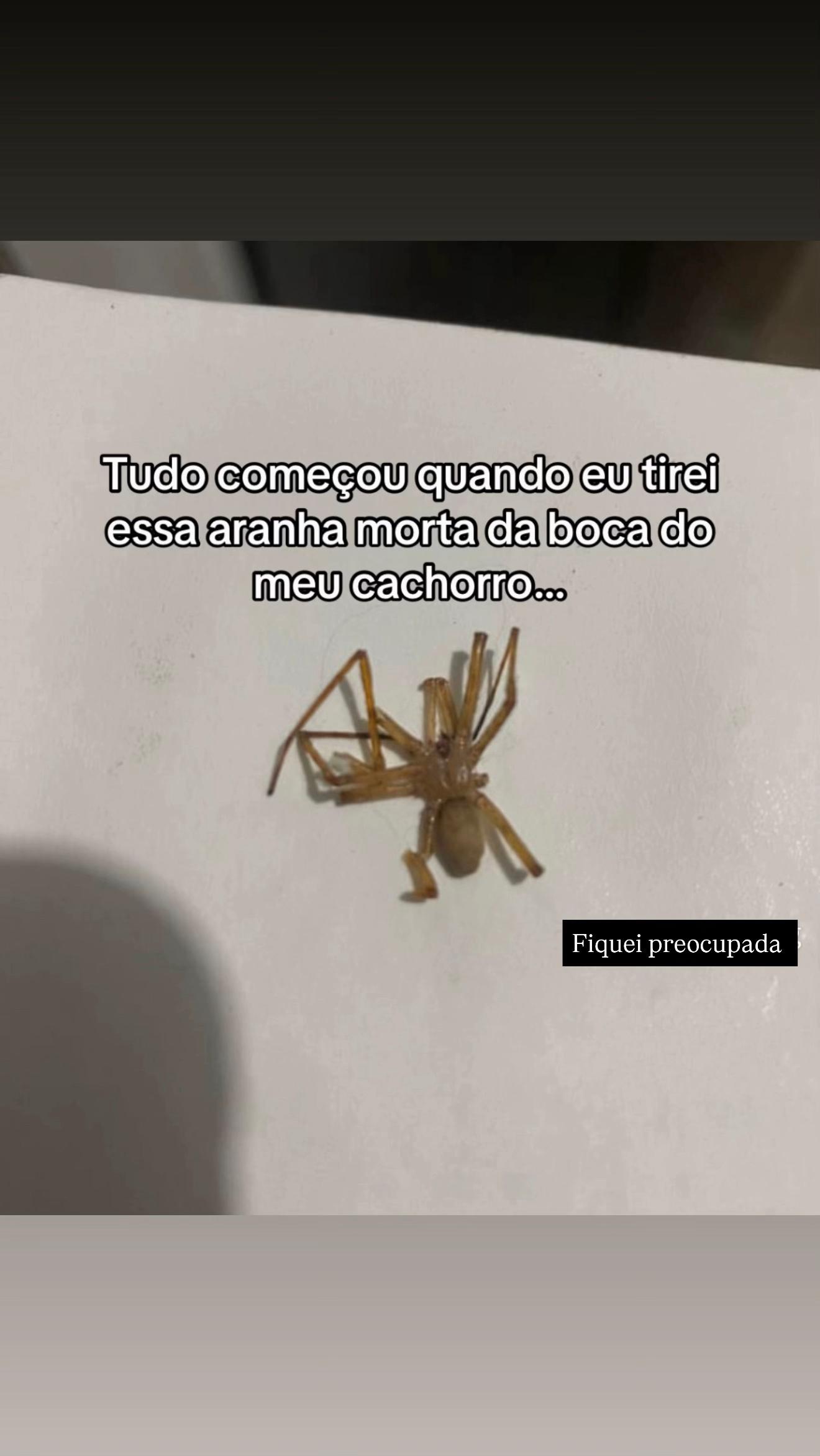 @Thays 🦋