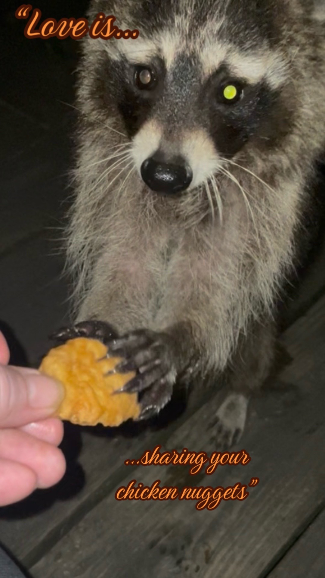 @LoneWolfKritterKam