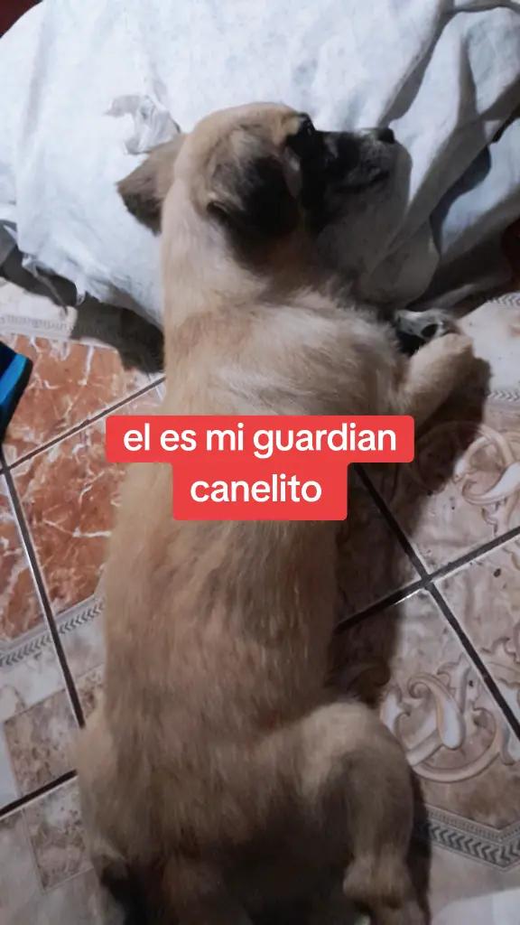 @Luisa albertina