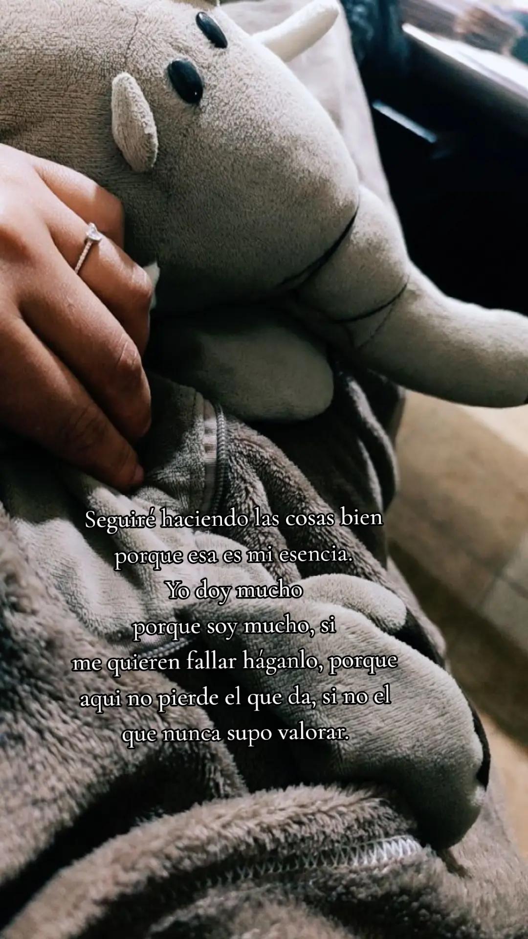 @Gabriela Torrico Tor