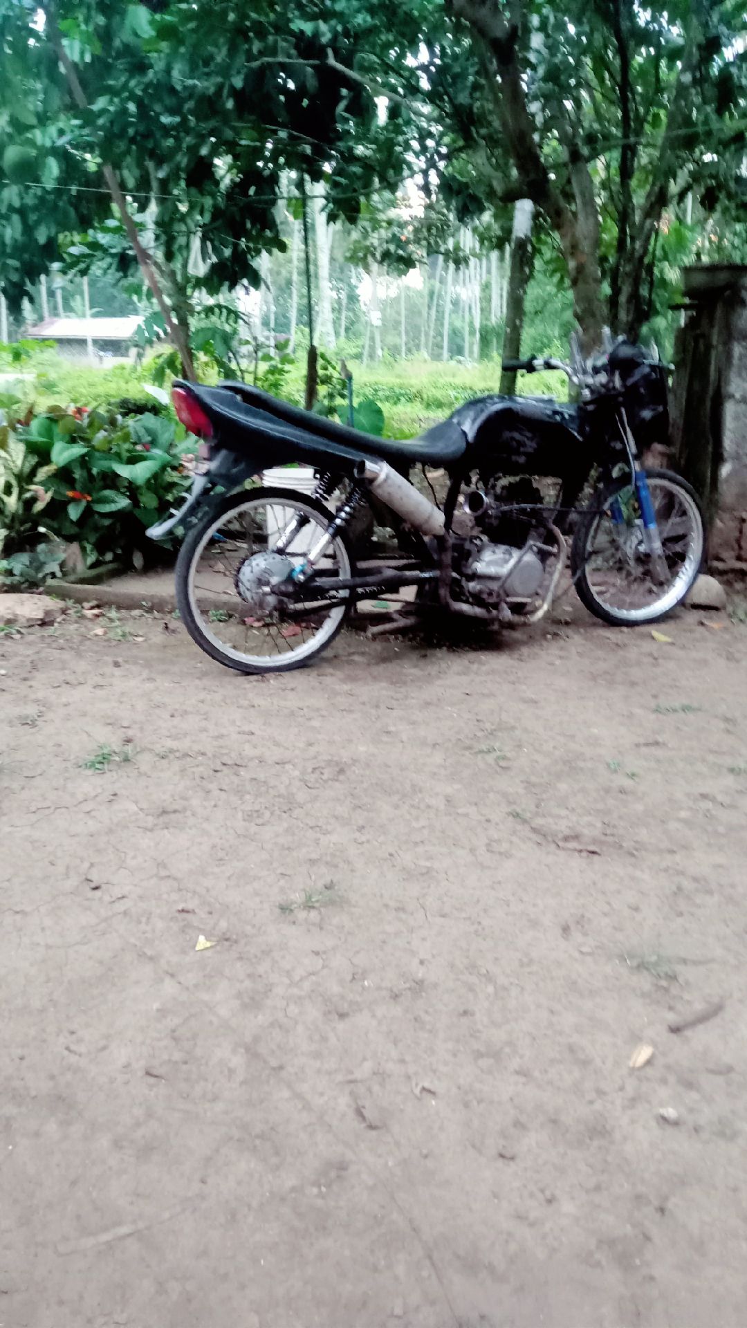 @Jumpong