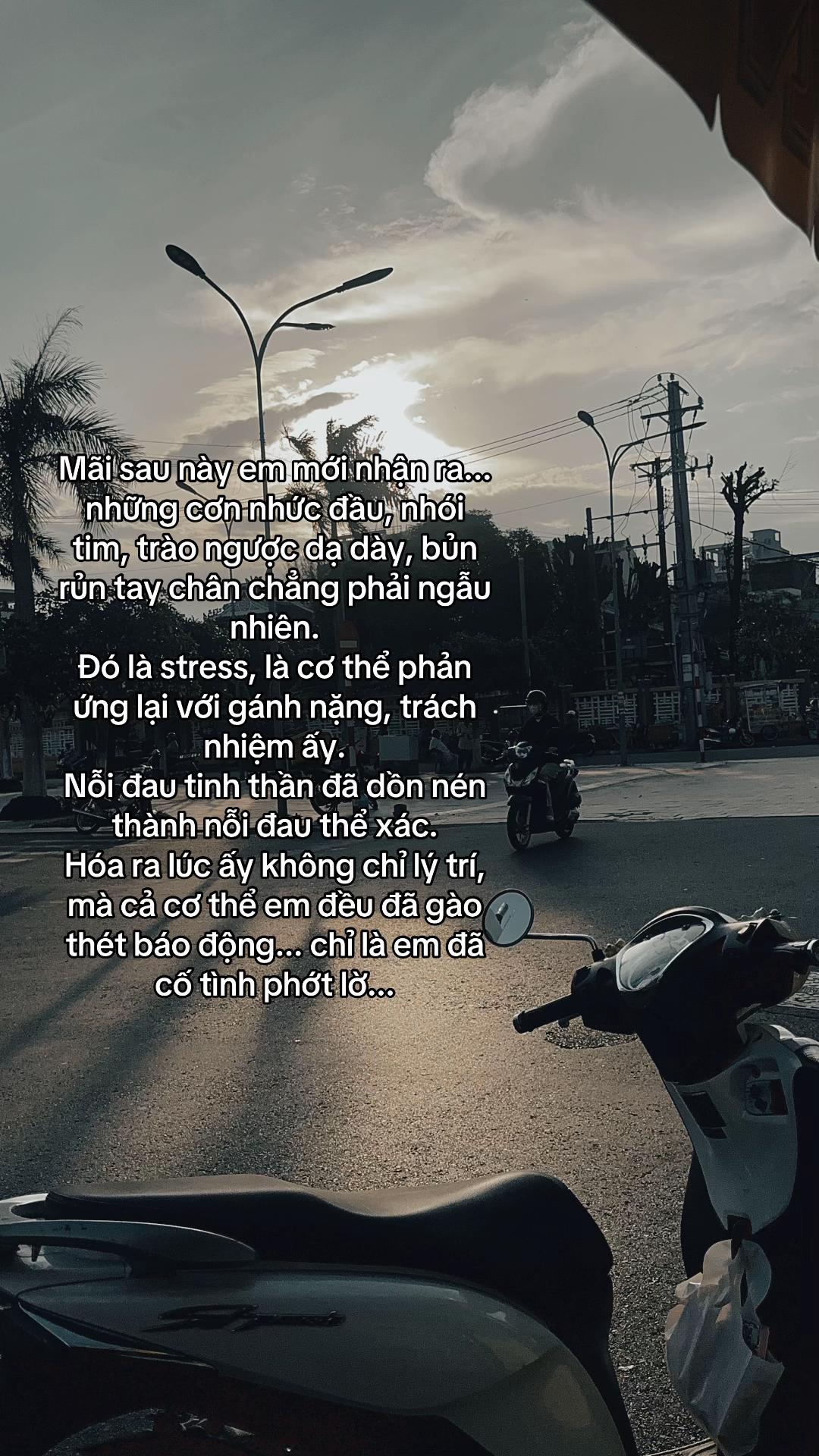 @huynhvan310