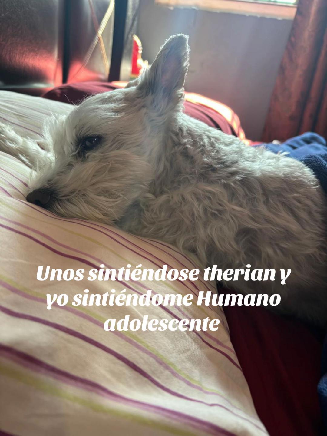 @😒Valentina Cue🥰