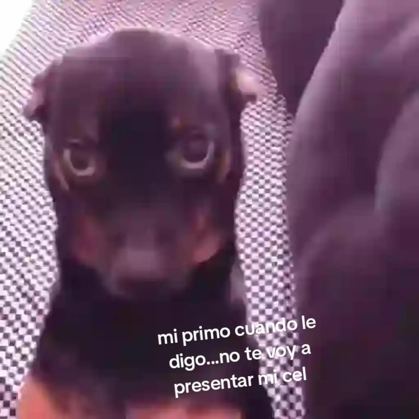 @Maïa Soyer
