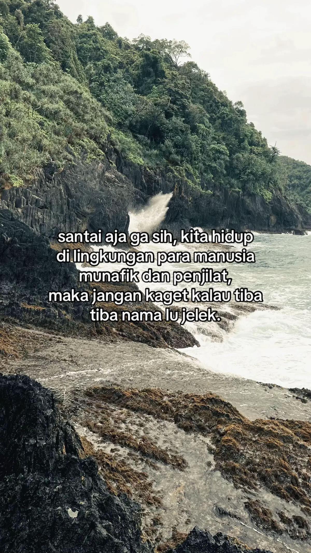 @saya.